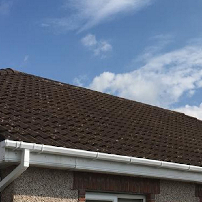 Before Roof Cleaning