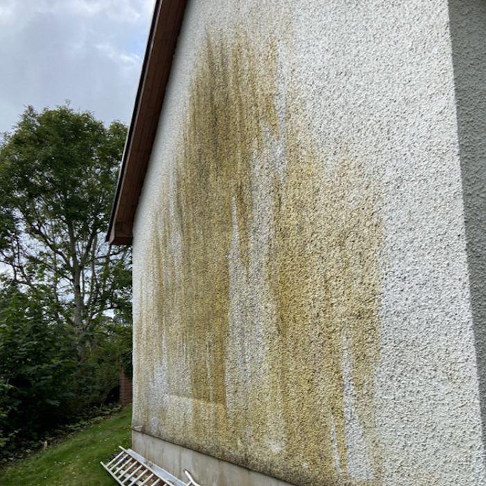 Biofilm on Render
